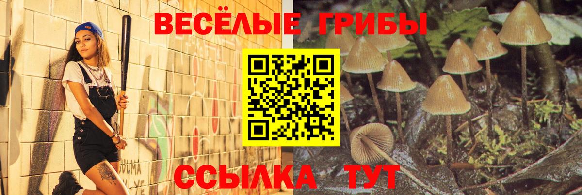 Псилоцибиновые грибы прущие грибы Благодарный